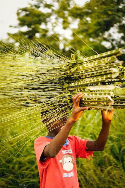 Empowering Youth in The Department of Agriculture and Rural Development