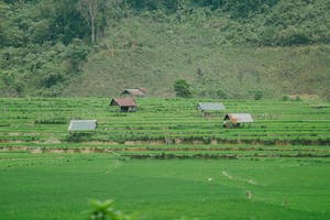 Empowering Youth in The Department of Agriculture and Rural Development