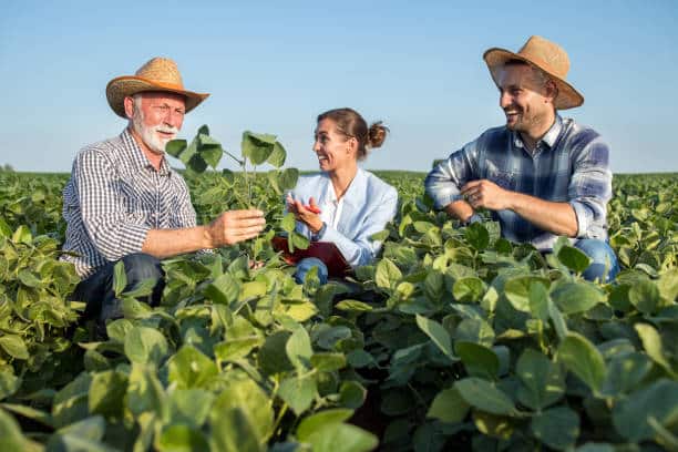 Farmers Insurance Open and The Importance of Youth Careers To Development